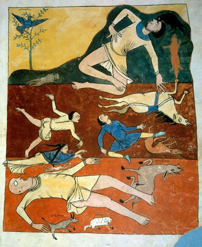 Miniature Universal Deluge taget fra kommentarerne til "Apokalypsen ifølge Sankt Johannes" skrevet i 775 af munken Beatus af Liebana af French School