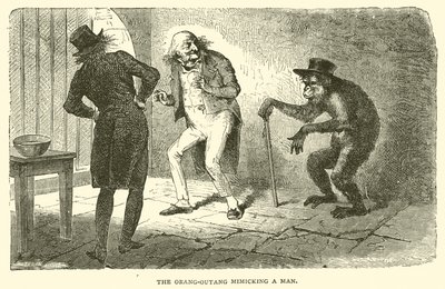 Der Orang-Utan, der einen Mann nachahmt von French School