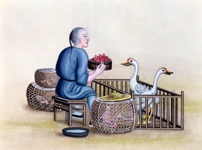 The Poultry Merchant, fra en bog om Pekings gader, ca. 1785 (wc og gouache på papir) af French School
