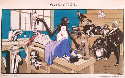 Dyrenes hævn, karikatur af vivisektion, 1909 af French School