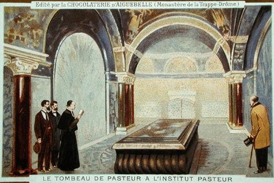 Louis Pasteurs grav (1822-95) i l