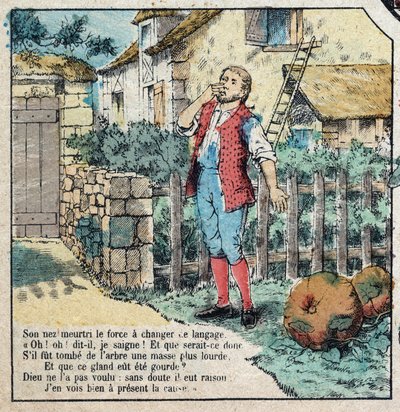 Agernet og græskarret. Fabler af Jean de La Fontaine (1621-95). Billedbillede af Epinal fra slutningen af det 19. århundrede. af French School