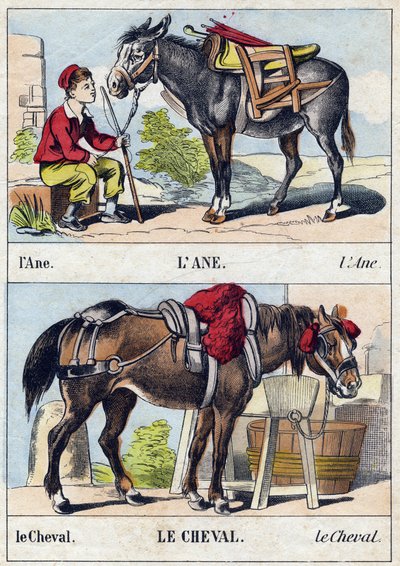 Æslet og hesten. Indgravering i "Buffon Alphabet des Animaux". 3. serie N 1. Billeddannelse af Epinal, Epinal, slutningen af 1800-tallet. 16 sider. Mål: 28x21cm af French School