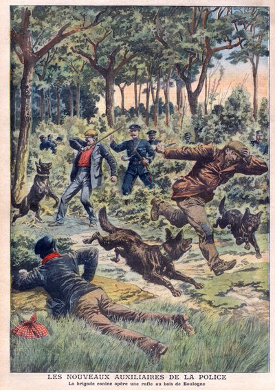 De nye politiassistenter: hundebrigaden foretager en roundup ved Bois de Boulogne, illustration fra "Le Petit Journal" af 28. juli af French School
