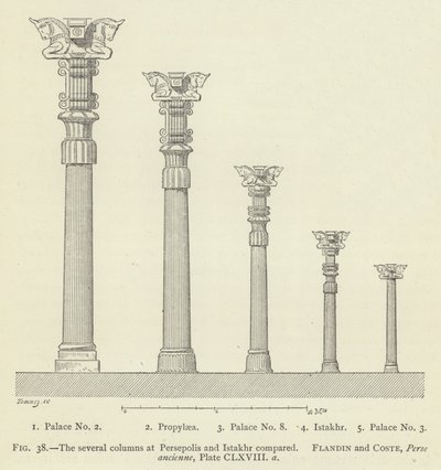 De adskillige kolonner ved Persepolis og Istakhr sammenlignes af French School