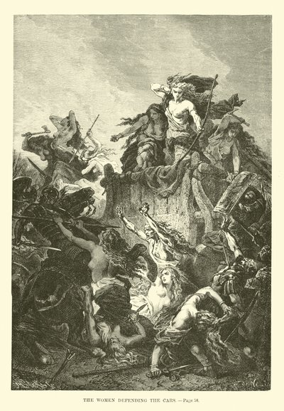 Kvinderne, der forsvarer Bilerne af French School