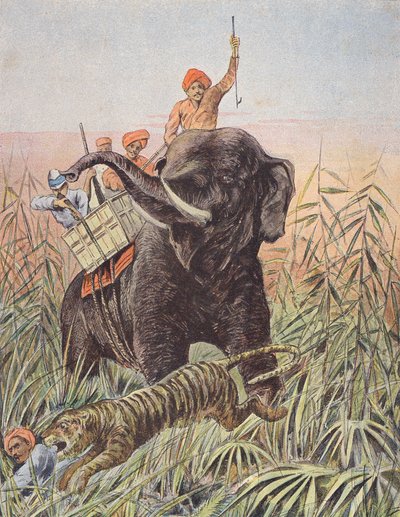 Tigerjagt, Indien (farvelitografi) af French School