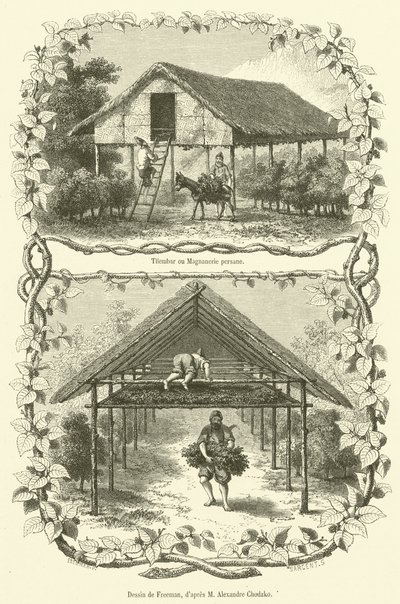 Tilembar eller Magnanerie persane (gravering) af French School