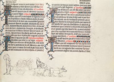 Transport af ejendele i en oksetrukne vogn, ufærdig miniature fra The Bible of Jean de Sy, ca. 1355 af French School