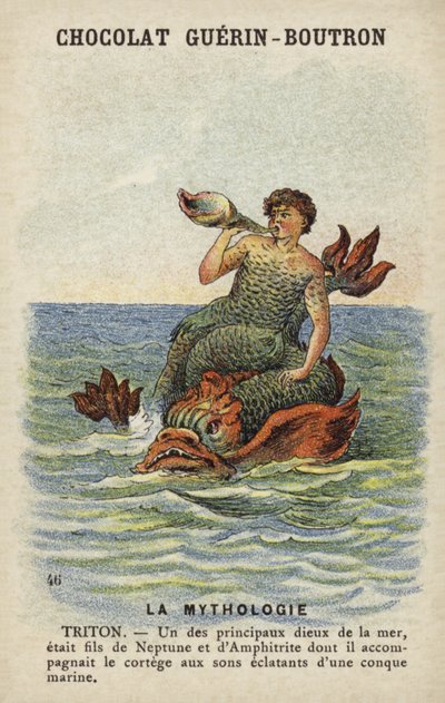 Triton af French School