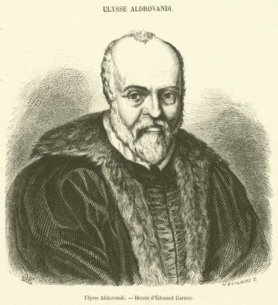 Ulysses Aldrovandi (gravering) af French School