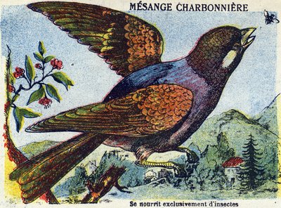 Unknown image dani af French School