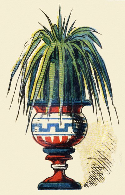 Ukendt billede af French School