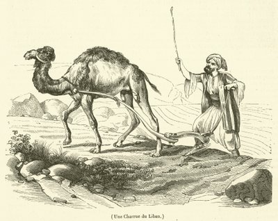 En plov fra Libanon (gravering) af French School