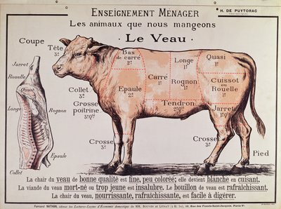 Kalvekød: diagram, der viser de forskellige udskæringer af kød af French School