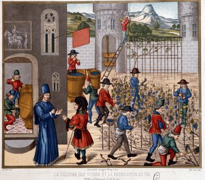 Vindyrkning og vinfremstilling i middelalderen af French School