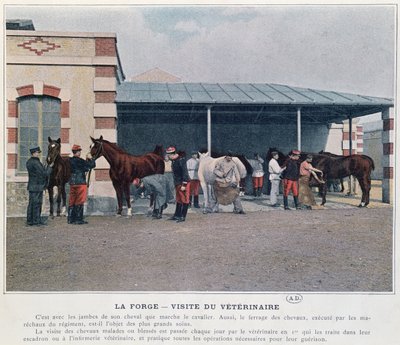 Besøg af hærdyrlægen på kasernen, 1897 (farve litho, efter et farvet foto) af French School