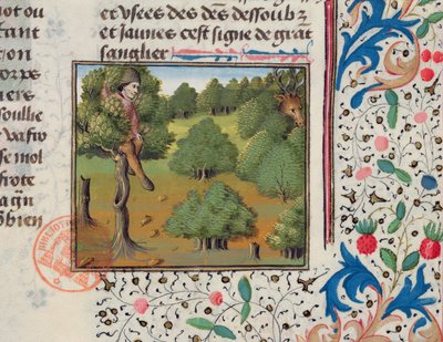 Venter på hjorte, der gemmer sig i et træ, fra Livre de la Chasse af Gaston Phebus af French School