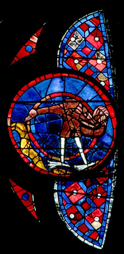 Fenster w115, die Erschaffung der Vögel - ein ungewöhnlicher Vogel darstellend von French School