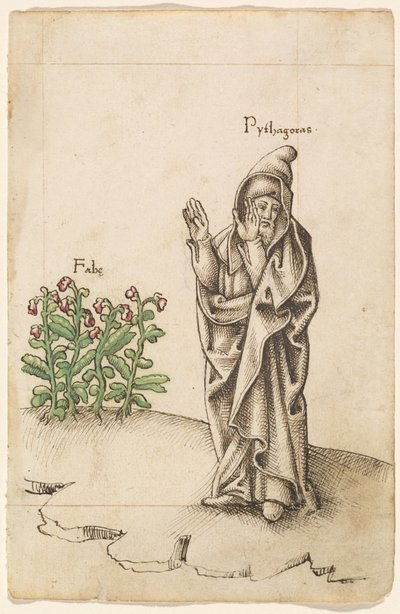 "Spis ikke bønner" [fol. 25 recto] af French early 16th Century