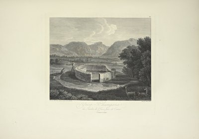 Ynca-Chungana, fra Inkahaven nær Canar, tegnet af Gmelin, graveret af Morel, illustration fra 