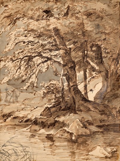træ undersøgelse af Friedrich August Mathias Gauermann