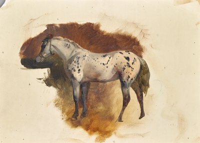 Plettet skimmelsvamp af Friedrich August Mathias Gauermann
