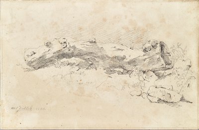 Liggende hul træstamme af Friedrich August Mathias Gauermann