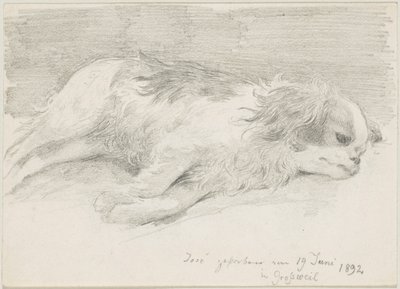 hundestudier af Friedrich August von Kaulbach