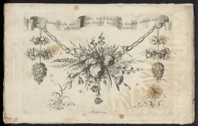 Anderledes ny festoon af blomster og frugter af Friedrich Jacob Morisson