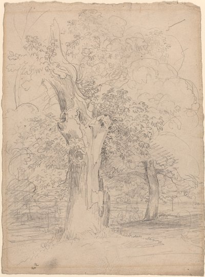 Et gammelt træ med figurer i et landskab af Friedrich Salathé