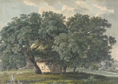 Italiensk landskab med træer recto, 1815-21. af Friedrich Salathé