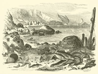 Fiskeri (gravering) af Friedrich Specht