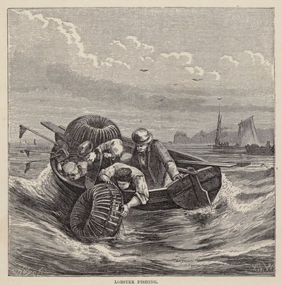 Hummerfiskeri (farvet indgravering) af Friedrich Specht