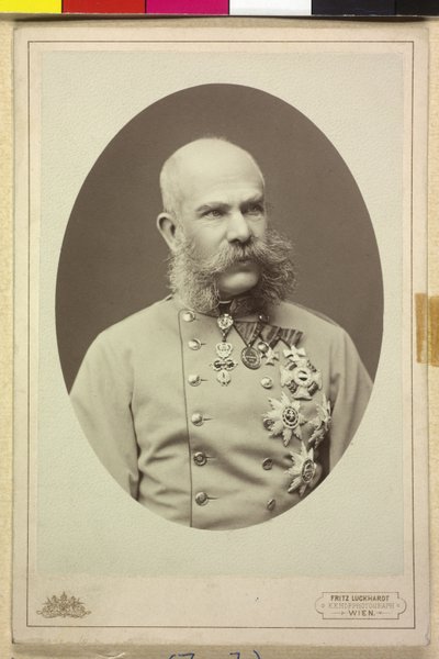 Franz Joseph I af Fritz Luckhardt