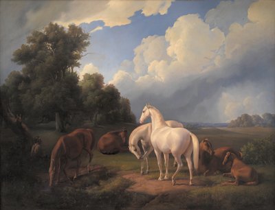Lucia, Whimsey, Bellona, Hertha, Olga af Fritz Thomsen