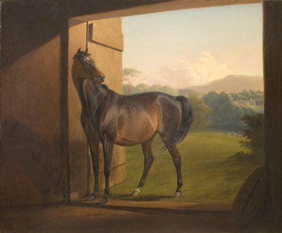 Reveler Mare af Fritz Thomsen