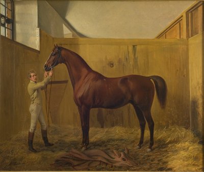 Rubiner af Fritz Thomsen
