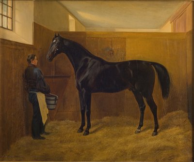 Ben af Fritz Thomsen