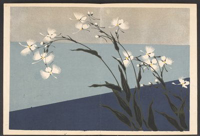 Shasei sôka môyô, Mønstre af planter og blomster fra livet af Furuya Korin