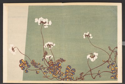 Shasei sôka môyô, Mønstre af planter og blomster fra livet af Furuya Korin