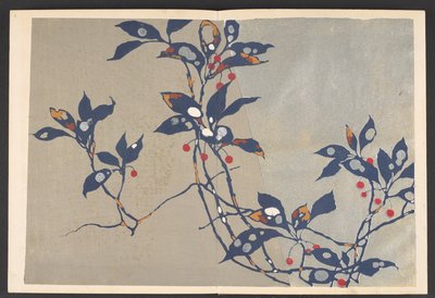 Shasei sôka môyô, Mønstre af planter og blomster fra livet af Furuya Korin