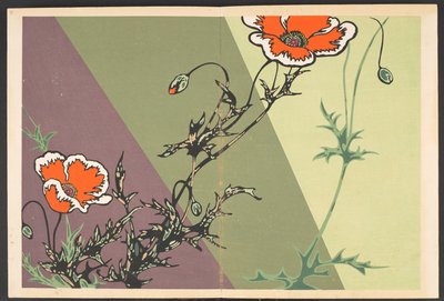 Shasei sôka môyô, Mønstre af planter og blomster fra livet af Furuya Korin