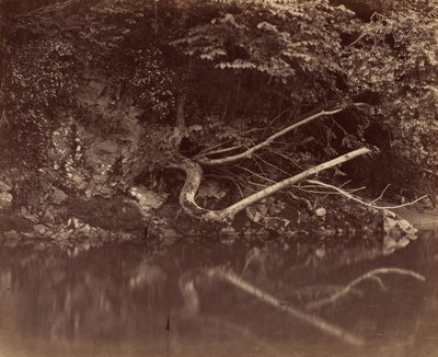 River Bank i Vale of Neath af G.B. Gething