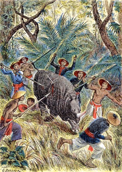 Jagt på næsehorn, Fransk Indokina, ca. 1900 (illustration) af G. Dascher