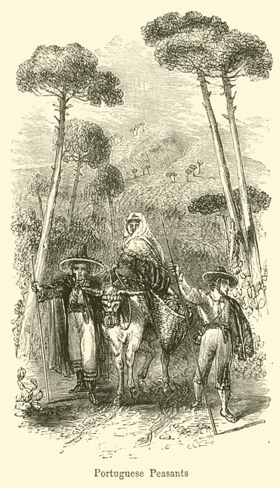 portugisiske bønder af G. F. Sargent