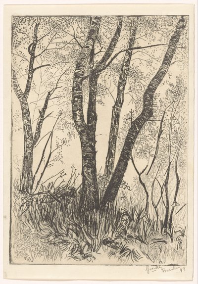 Træer i højt græs af G. van der Mey (signed by artist)