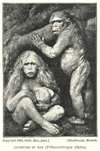 Menneskets forfædre, Pithecanthropus Alalus (litho) af Gabriel Max