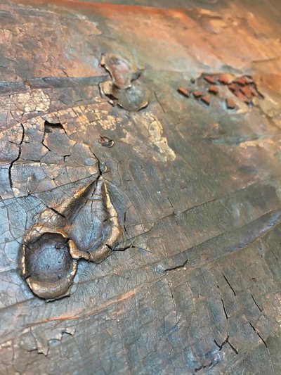  af Gabriela Aleksandra Szuba