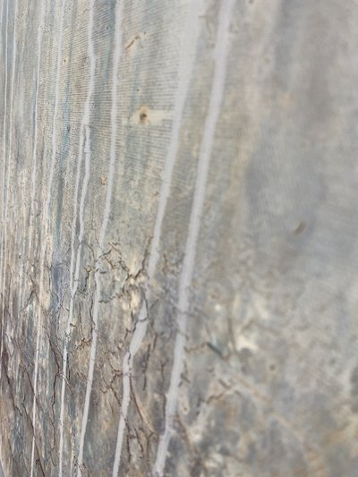  af Gabriela Aleksandra Szuba